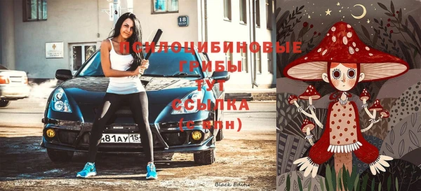 прущая мука Абаза