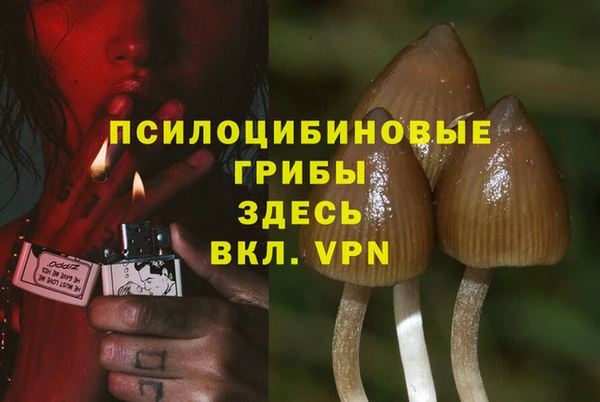 прущая мука Абаза