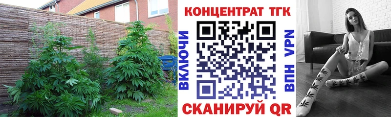 ТГК вейп с тгк Шиханы