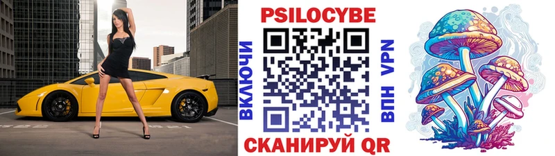 мориарти Telegram Шиханы Псилоцибиновые грибы MAGIC MUSHROOMS